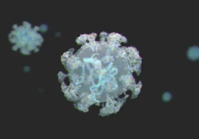 A translucent illustration of the BA.2.75 subvariant of SARS-CoV-2 against a black background A translucent illustration of the BA.2.75 subvariant of SARS-CoV-2 against a black background